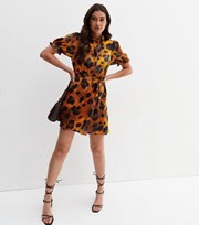 New Look Brown Leopard Print Satin Belted Mini Shirt Dress